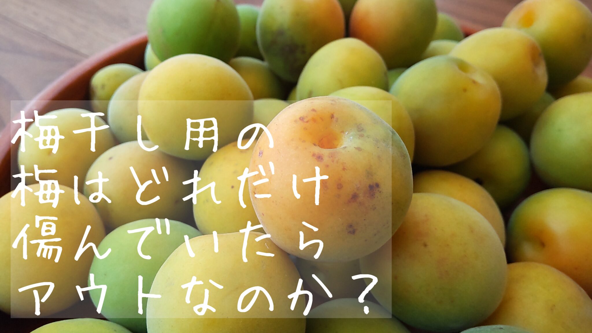 梅干し作りに使える梅の限界は？傷・斑点・ぷよぷよ梅で作った結果！